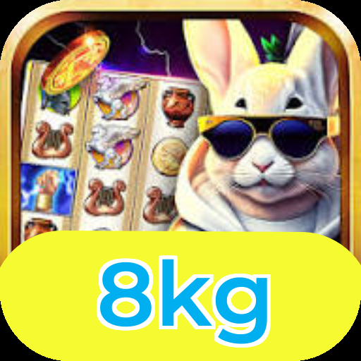 Comparação detalhada APP 8kg vs versão web